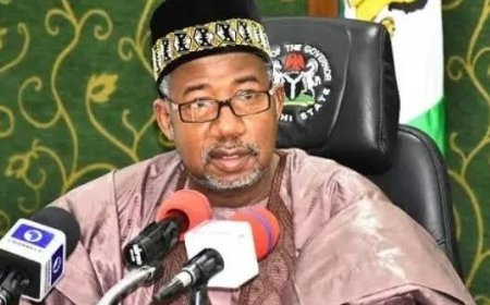 Over 10,000 Armed Bandits Attacking Communities in Bauchi – Gov Bala Mohammed