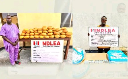 Ex-Councillor Nabbed as NDLEA Busts Drug Traffickers Across Nigeria