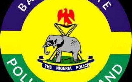 Police Arrest Suspects for Sexual Offences, Fraud, Criminal Intimidation in Bauchi