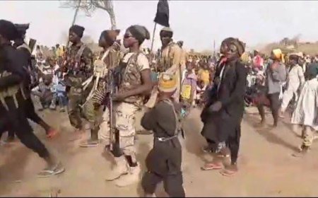 Escalating Boko Haram, ISWAP Attacks During Ramadan Raise Security Concerns in Borno