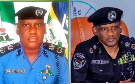 Gov. Inuwa Yahaya Celebrates Promotion of Two Gombe Indigenes to AIG Rank