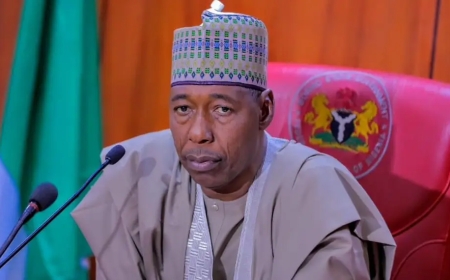 Borno Strengthens Healthcare as Babagana Umara Zulum Employs 1,037 Health Workers, Revitalises 123 PHCs