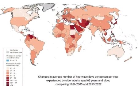 370% Surge in Heat Deaths for Elderly by 2050—Experts Warn Nigeria Is on the Frontline