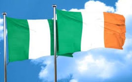 Nigeria, Ireland Forge Strategic Partnership to Boost Investment and Economic Growth