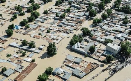 Floods and Neglect: The Urgent Need to Fix Disaster Management in Northeast Nigeria