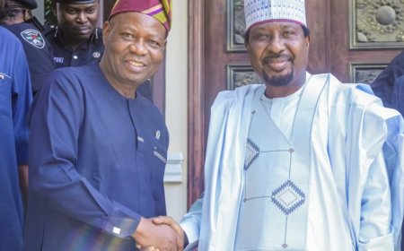IGP Submits State Police Framework to Senate Deputy President to Advance Policing Reform