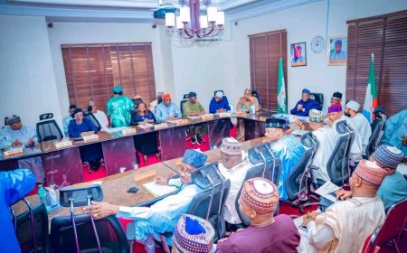 NORTHERN GOVERNORS BACK TINUBU, FOCUS ON SECURITY AND DEVELOPMENT AT ABUJA MEETING — NSGF
