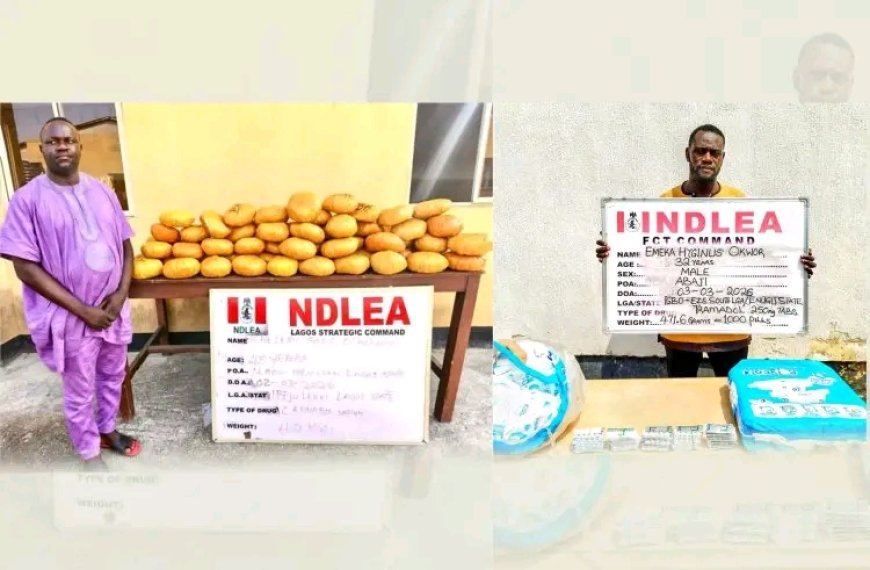 Ex-Councillor Nabbed as NDLEA Busts Drug Traffickers Across Nigeria