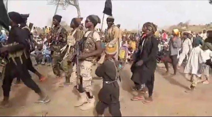 Escalating Boko Haram, ISWAP Attacks During Ramadan Raise Security Concerns in Borno