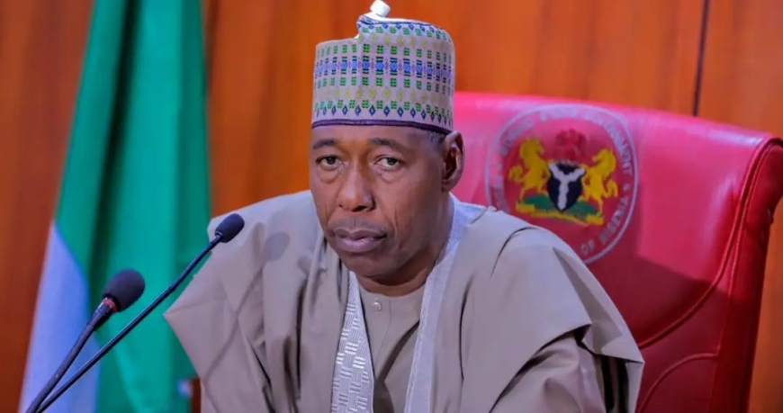 Borno Strengthens Healthcare as Babagana Umara Zulum Employs 1,037 Health Workers, Revitalises 123 PHCs