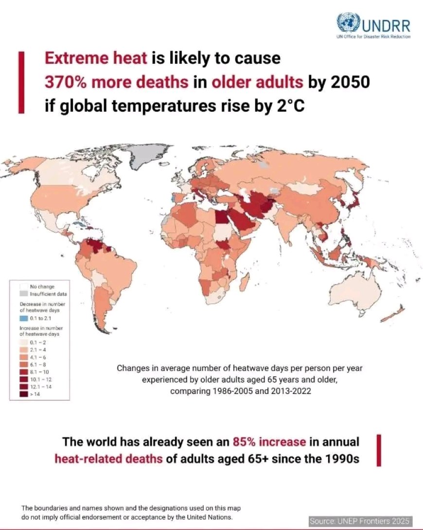 370% Surge in Heat Deaths for Elderly by 2050—Experts Warn Nigeria Is on the Frontline