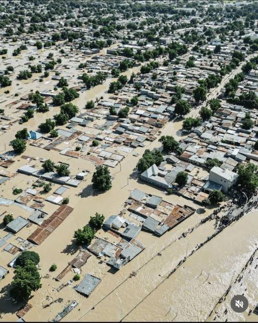 Floods and Neglect: The Urgent Need to Fix Disaster Management in Northeast Nigeria