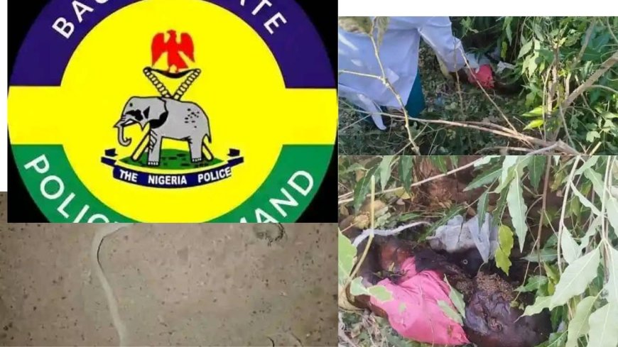 Bauchi Police Arrest Insider Over Kidnapping, Murder of 4-Year-Old Boy