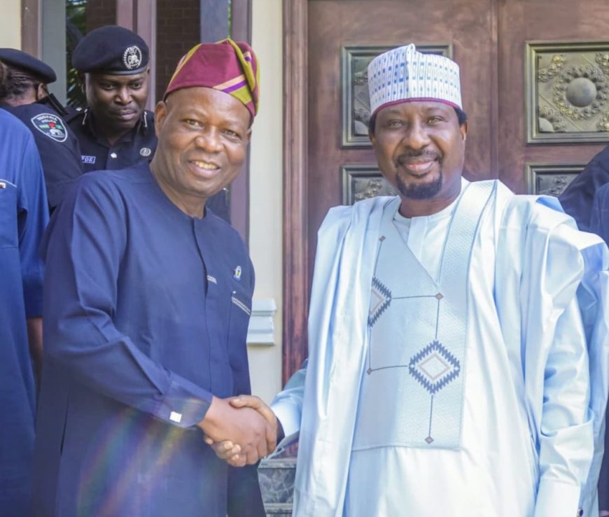 IGP Submits State Police Framework to Senate Deputy President to Advance Policing Reform