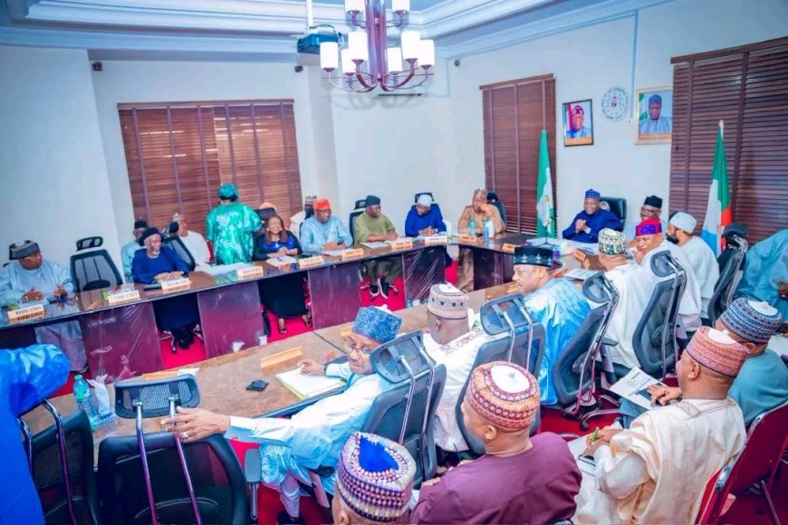 NORTHERN GOVERNORS BACK TINUBU, FOCUS ON SECURITY AND DEVELOPMENT AT ABUJA MEETING — NSGF