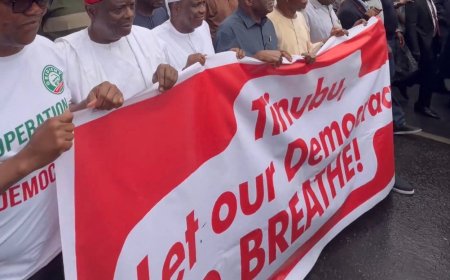 ADC Members Protest in Abuja, Demand INEC Chairman’s Suspension, Recognition of David Mark