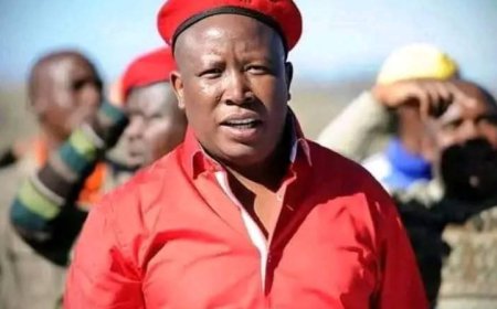 South Africa’s Julius Malema Sentenced to Five Years in Prison Over 2018 Firearm Incident