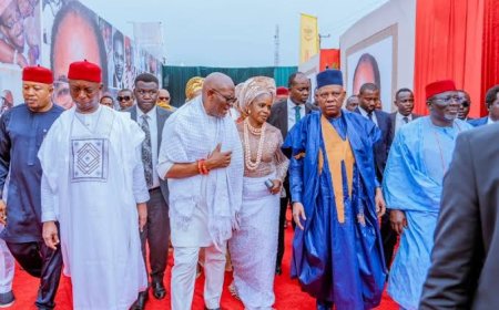 Shettima Pays Tribute to Elumelu’s In-Law, Celebrates Life
