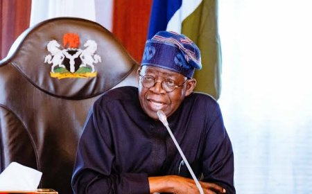 Tinubu Reshuffles Cabinet, Replaces Finance and Housing Ministers