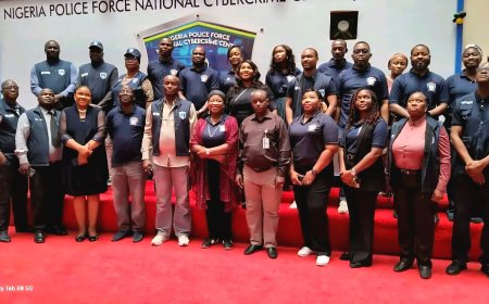 IGP Disu Calls for Enhanced Collaboration to Combat Cybercrime in Nigeria