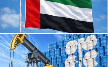 UAE Formally Exits OPEC After Nearly 60 Years, Signals New Energy Direction