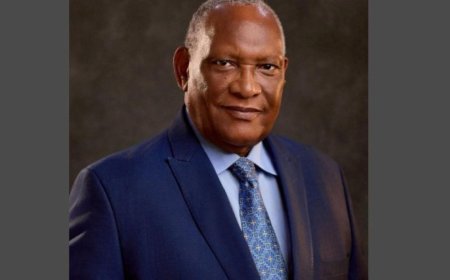 Shugaban Kasar Nijeriya Bola Ahmed Tinubu Ya Sallami Shugaban NMDPRA, Ya Nada Sabo