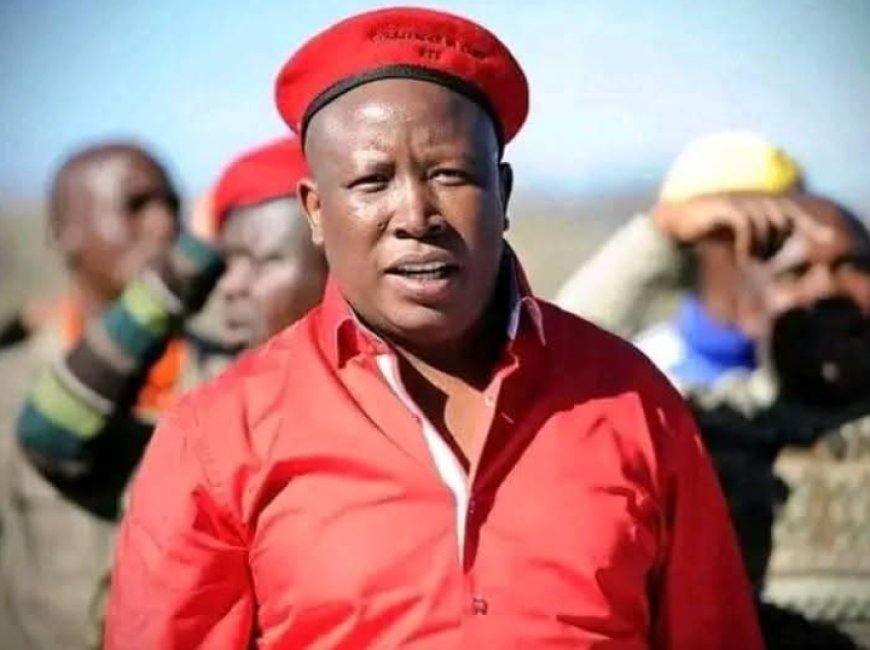 South Africa’s Julius Malema Sentenced to Five Years in Prison Over 2018 Firearm Incident