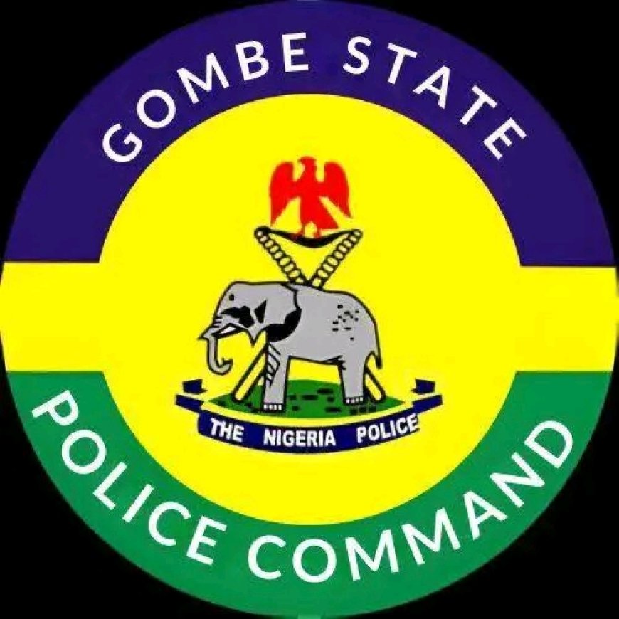 Police Rescue Abducted 4-Year-Old in Gombe, Arrest Two Suspected Child Traffickers