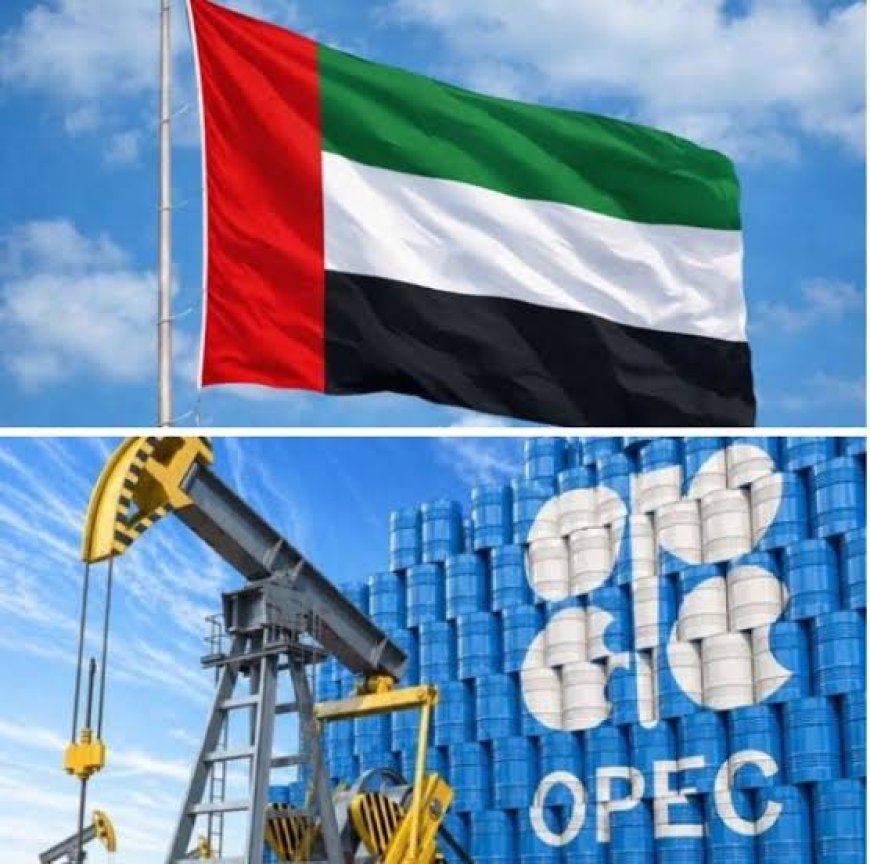 UAE Formally Exits OPEC After Nearly 60 Years, Signals New Energy Direction