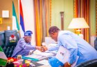 Tinubu Approves ₦1.25 Trillion for Yobe-Gombe Dual Carriageway Project