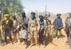 Bandits Kill 24 in Fresh Katsina Attack, Communities Thrown Into Mourning