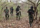 Troops Crush ISWAP Offensive in Yobe, Over 50 Terrorists Killed as Soldiers Defend Buni Gari Base