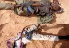 Troops Kill Lakurawa Terrorists, Recover Weapons And Rustled Livestock In Sokoto, Katsina
