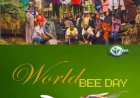 “Save the Bees, Save the Future” — JEWEL Environmental Initiative Marks World Bee Day 2026 with Strong Youth Campaign in Gombe