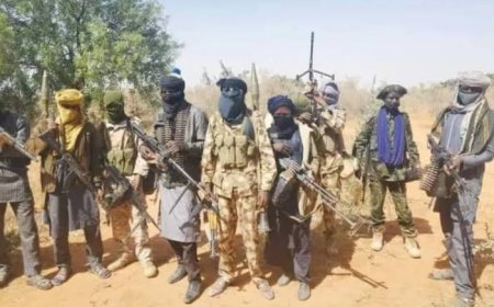 Bandits Kill 24 in Fresh Katsina Attack, Communities Thrown Into Mourning