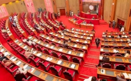 Senate Moves to Strengthen Electoral Justice, Passes Amendment Bill