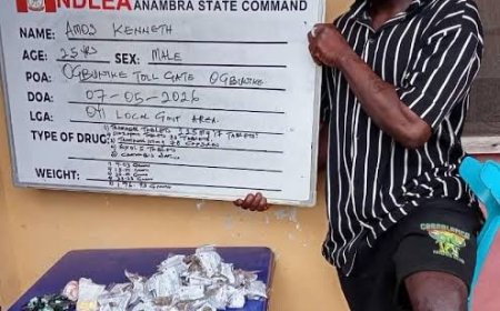 NDLEA Arrests Three Persons With Disabilities Over Drug Trafficking, Seizes ₦5.8bn Cannabis In Lagos