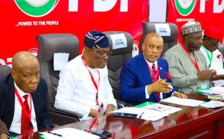 Wike-Led PDP Faction Begins Screening of 2027 Aspirants
