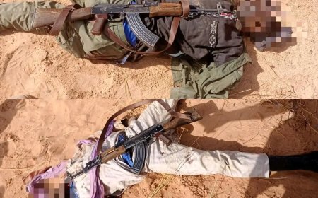 Troops Kill Lakurawa Terrorists, Recover Weapons And Rustled Livestock In Sokoto, Katsina