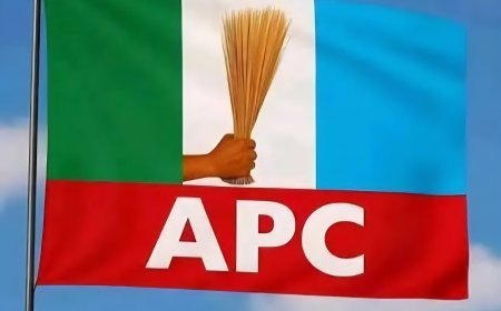 APC NWC Halts Announcement of Reps Primary Results Nationwide