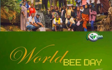 “Save the Bees, Save the Future” — JEWEL Environmental Initiative Marks World Bee Day 2026 with Strong Youth Campaign in Gombe