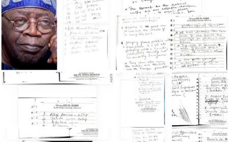 Alleged Coup Plot: Secret Document Reveals Proposed Government Structure After Tinubu’s Overthrow