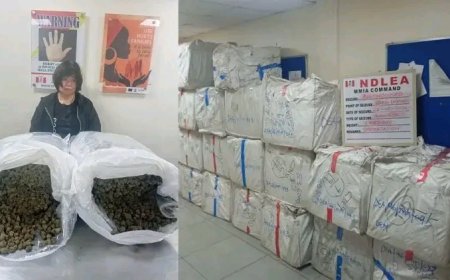 NDLEA arrests Chinese woman with drug shipment at Lagos airport