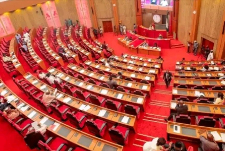 Senate Moves to Strengthen Electoral Justice, Passes Amendment Bill