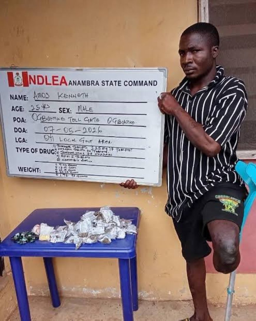 NDLEA Arrests Three Persons With Disabilities Over Drug Trafficking, Seizes ₦5.8bn Cannabis In Lagos