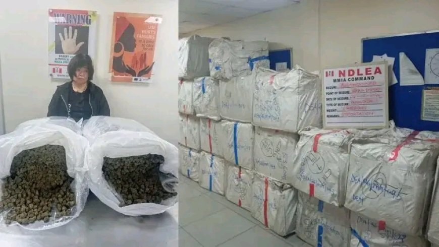 NDLEA arrests Chinese woman with drug shipment at Lagos airport