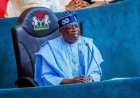 Tinubu approves 1,000 forest guards for Oyo, deploys special rescue team for abducted pupils