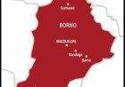 Family of Abducted Borno Child Appeals to Tinubu, Zulum for Urgent Intervention