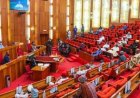 Senate Approves Increase in Police Trust Fund Allocation from Federation Account