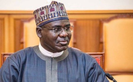 Bandits Can Be Located If Security Agencies Are Determined, Says Buratai